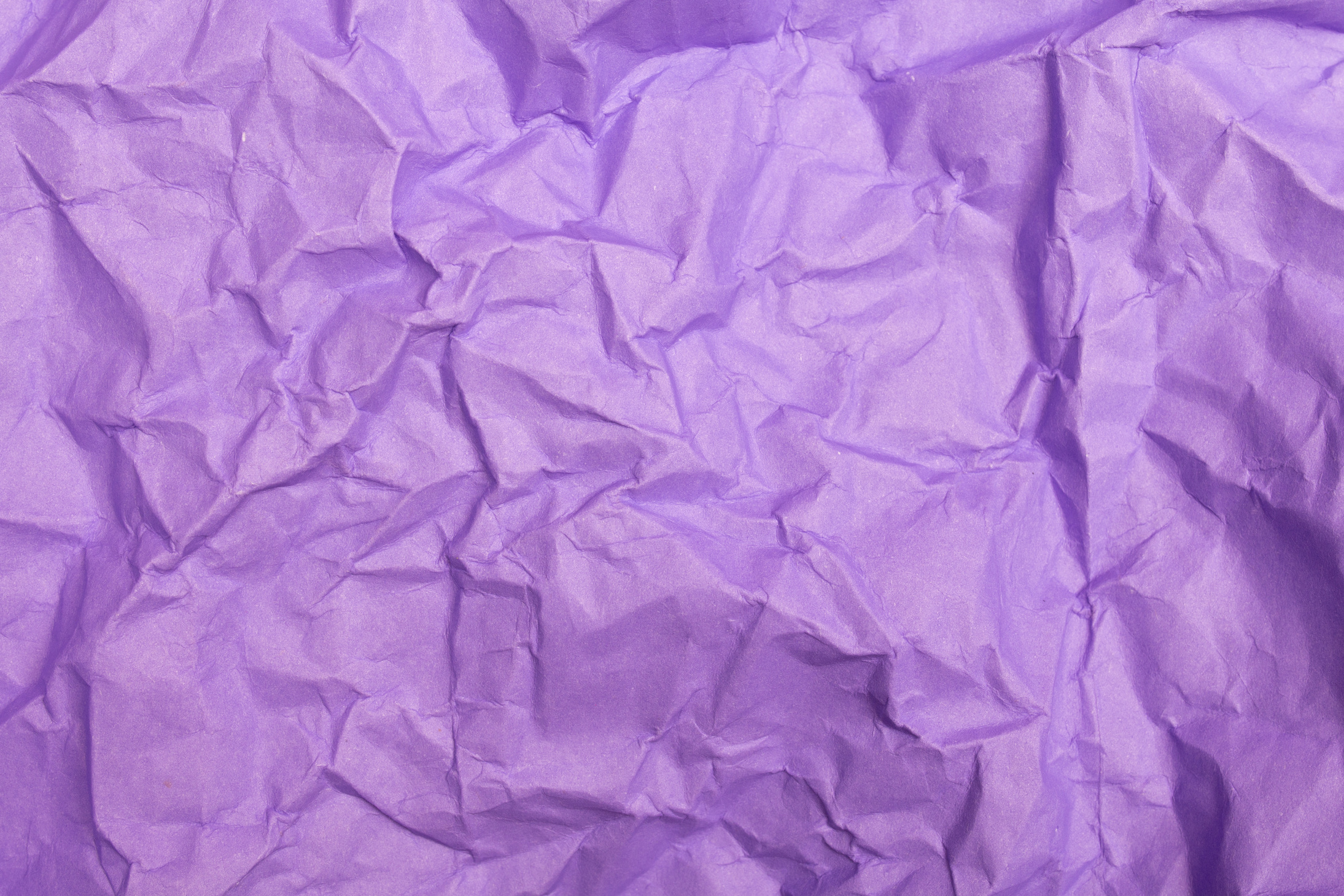 Wrinkled Purple Paper